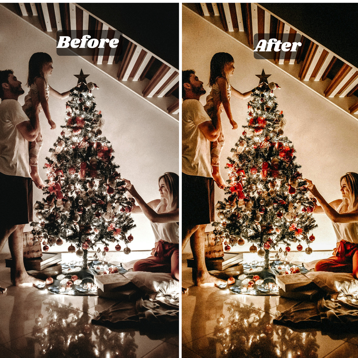 Pro Batch Bundle (Up to 10 Photos)