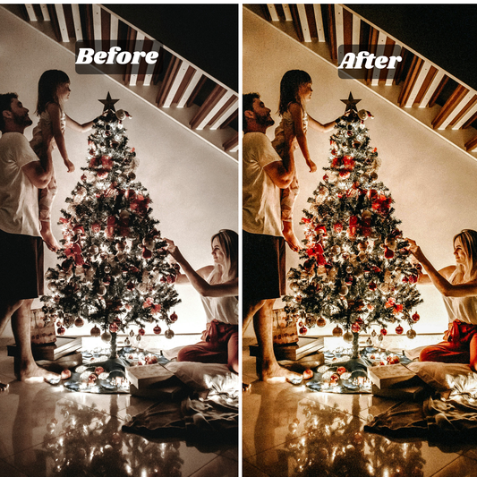 Pro Batch Bundle (Up to 10 Photos)